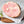 Whole Hog CSA